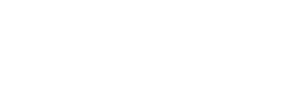 Lightning VIP Concierge Medicine logo